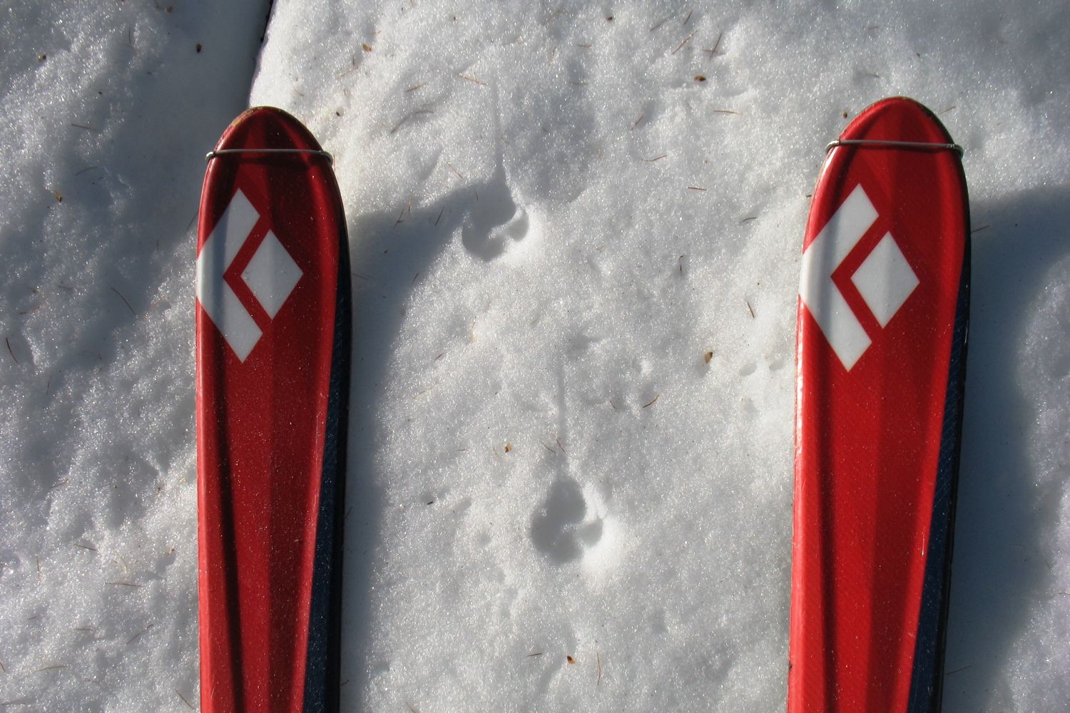 Niet alleen toerskiers maken sporen